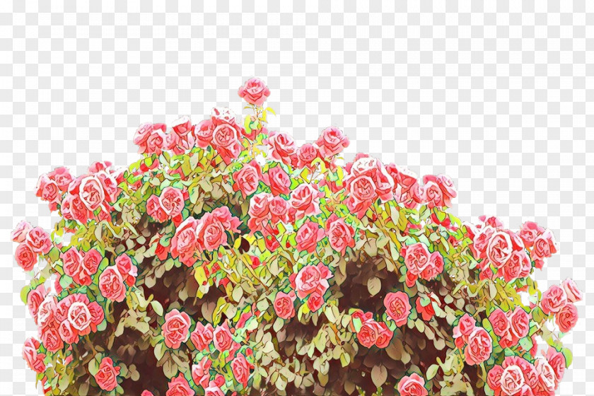 Annual Plant Flowering Floral Design PNG