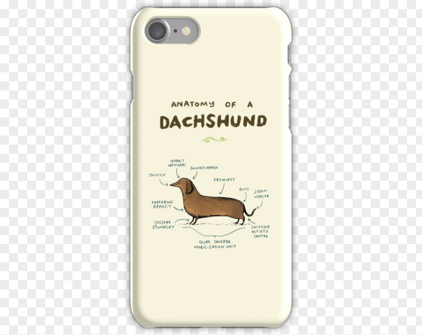 Hot Dog Dachshund Anatomy Pet Breed PNG