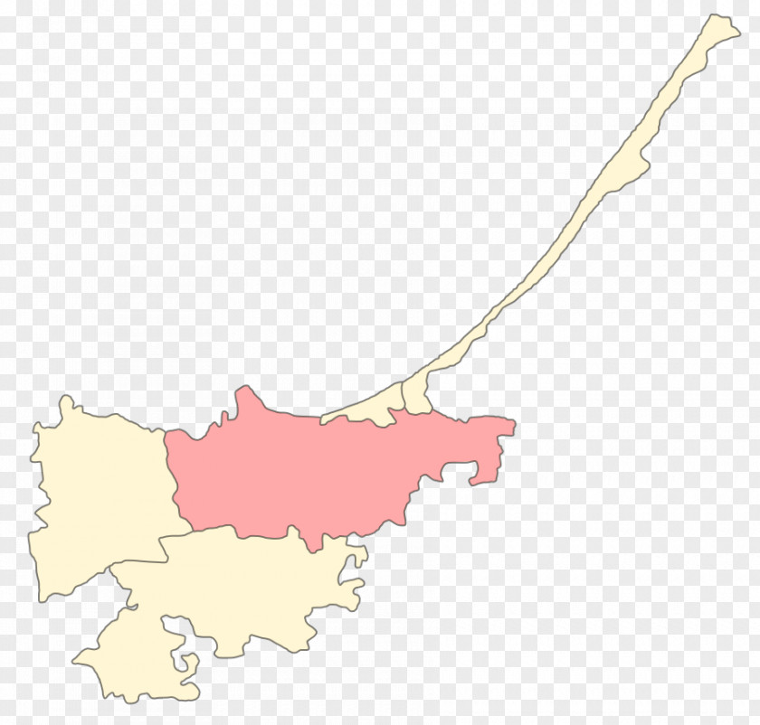Map Pink M PNG