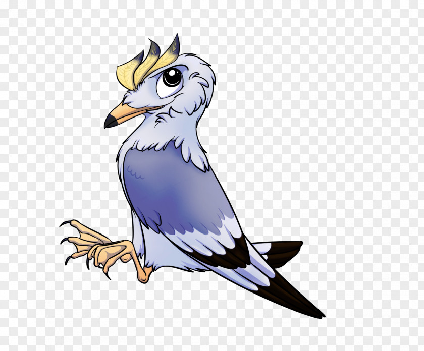 Owl Feather Beak Clip Art PNG