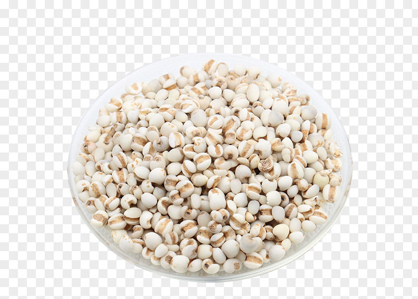 Barley Rice Bowl Tazxf3n PNG
