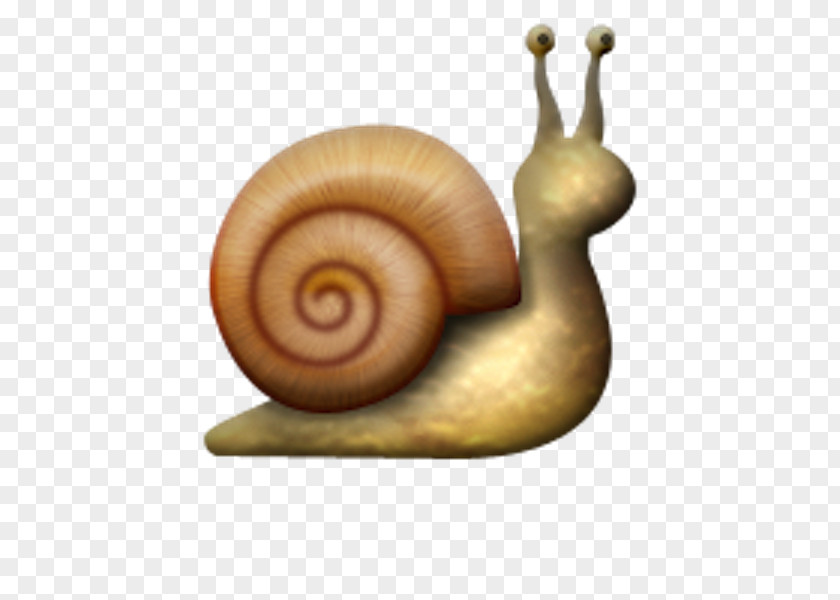 Emoji Snail Slug Gastropods Escargot PNG