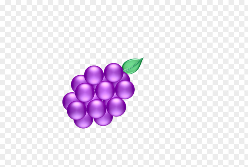 Grape Violet Purple Lilac Magenta PNG