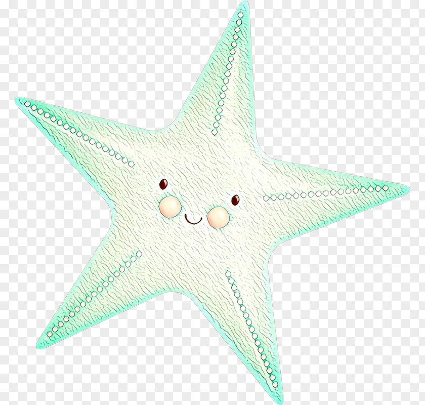 Marine Invertebrates Star Starfish PNG