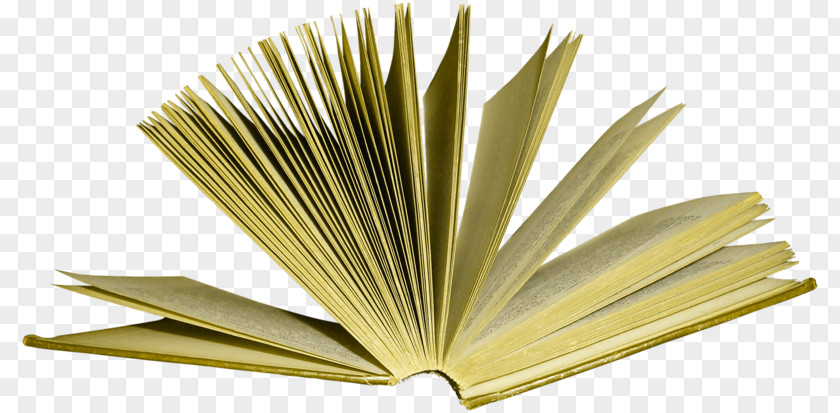 Opened Books Paper PNG