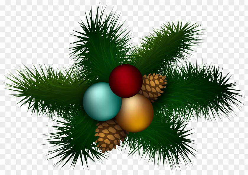 Pine Christmas Ornament Candy Cane Clip Art PNG