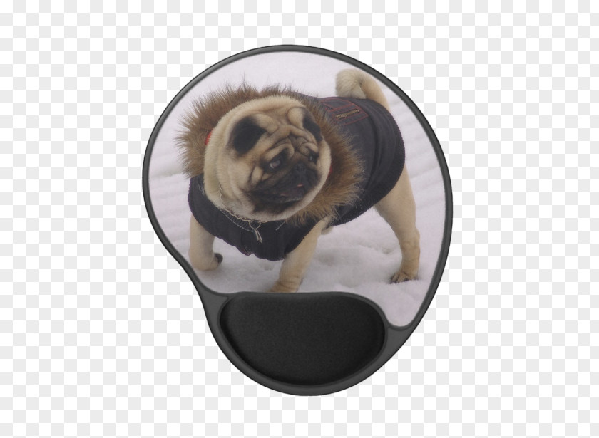 Puppy Pug Dog Breed Handbag Coin Purse PNG