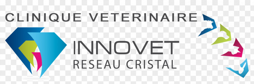 Rousseau Clinique Vétérinaire Innovet Veterinary Clinic Magazine Route D'Aviré Veterinarian PNG