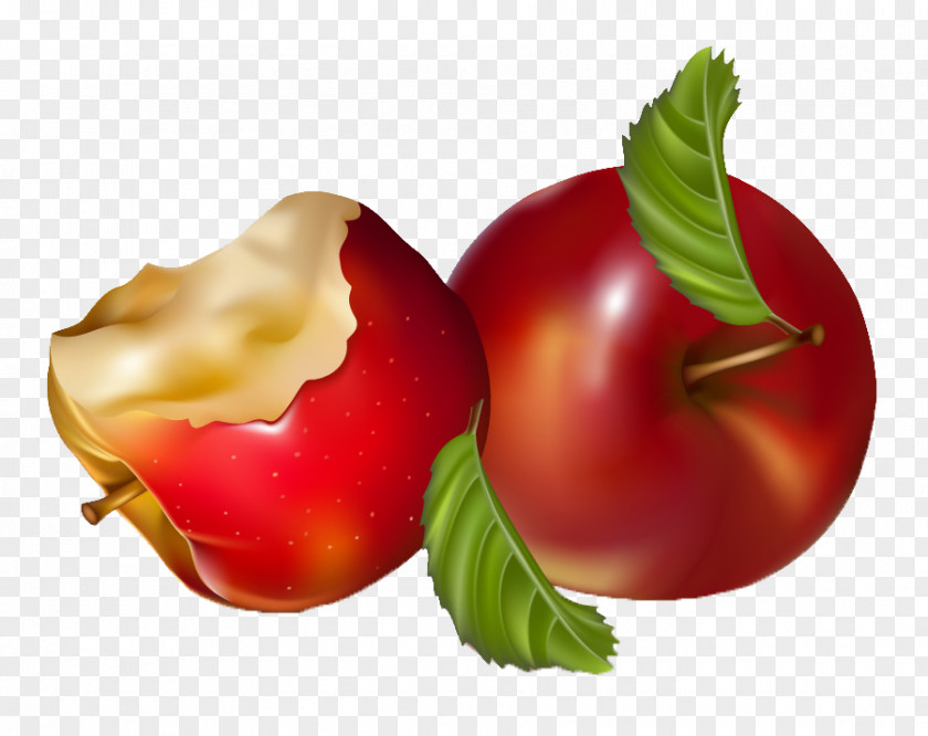 Apple Auglis PNG