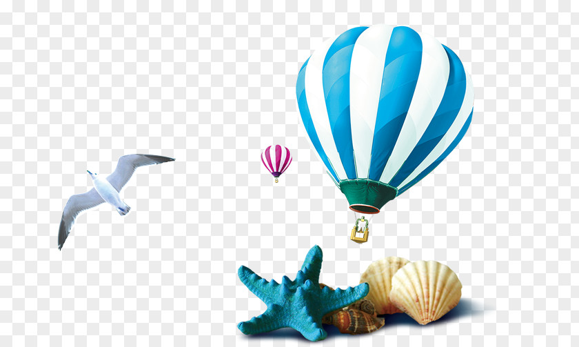 Conch Shells Balloon Seagull Seashell Download PNG