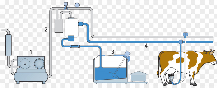 Milk Flow Milking Cattle Goat Dairy PNG