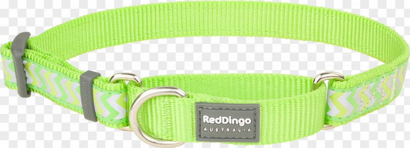 Zig Zag Belt Buckles Dog Collar Dingo PNG