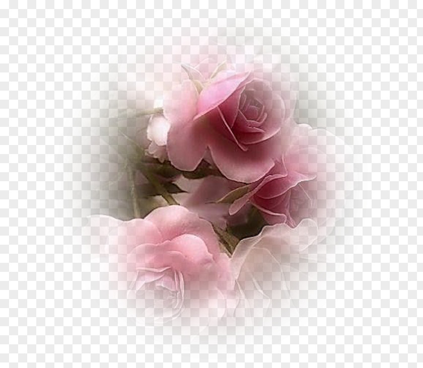 Flower Art Blog Desktop Wallpaper PNG