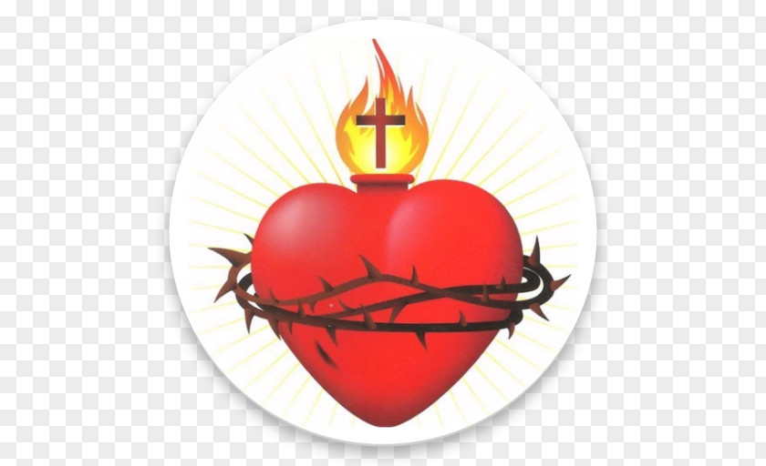 Jesus Heart Sacred Clip Art Immaculate Of Mary Vector Graphics Illustration PNG