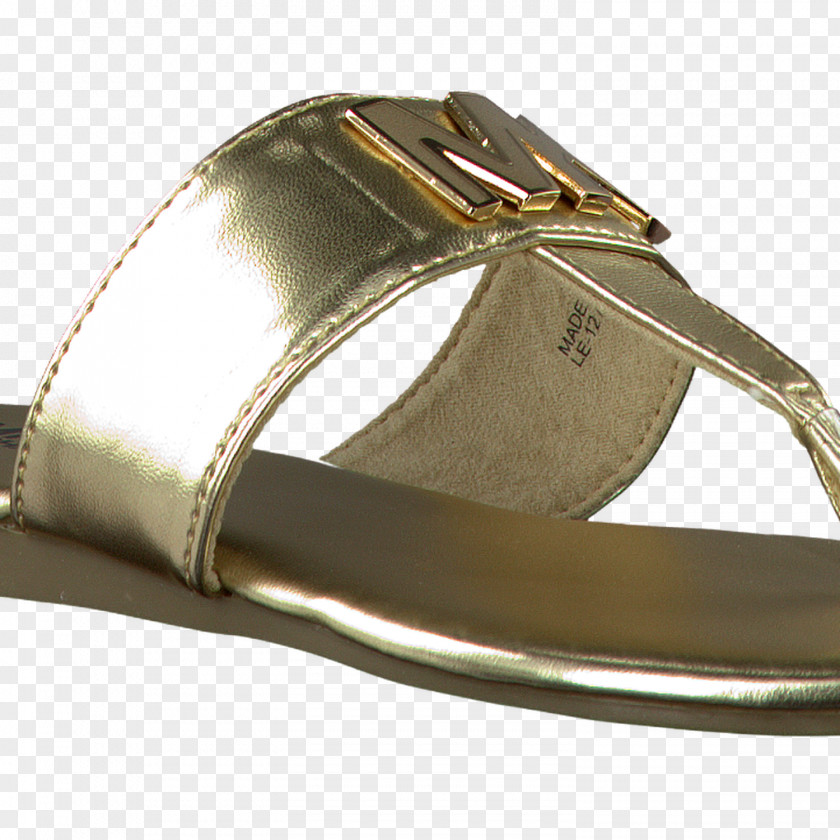Shoe Belt Buckles 01504 Silver Sandal PNG