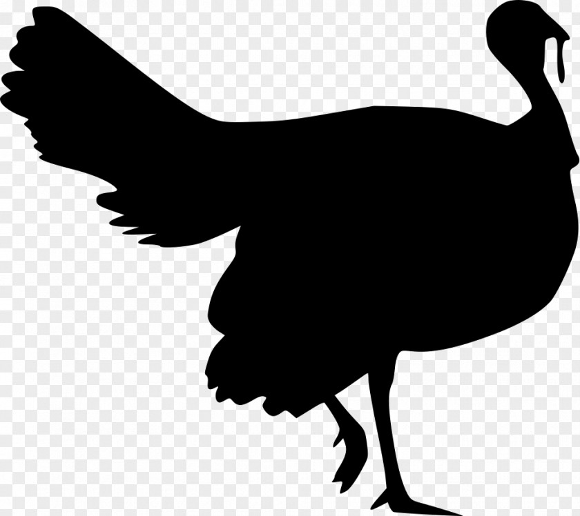 Silhouette Stencil Turkey Meat Rooster Clip Art PNG