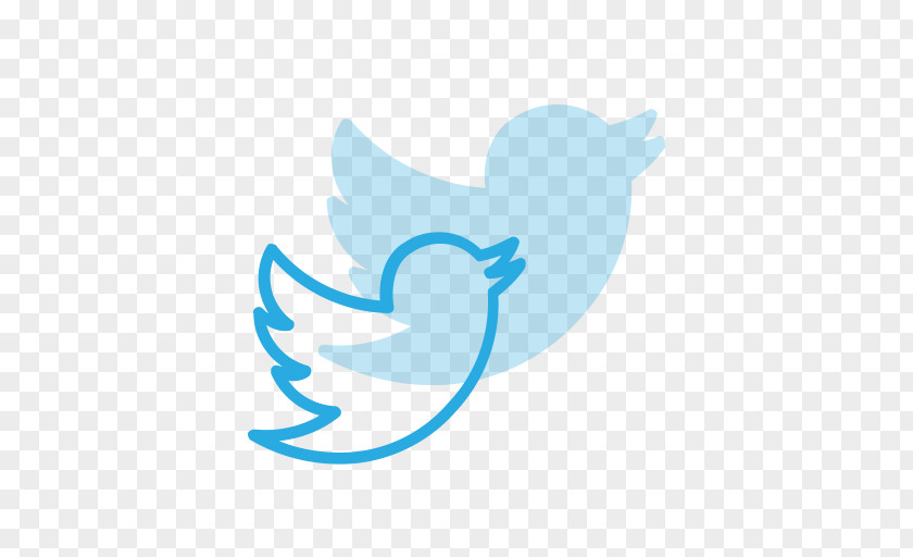 Social Media Network Twitter Clip Art PNG