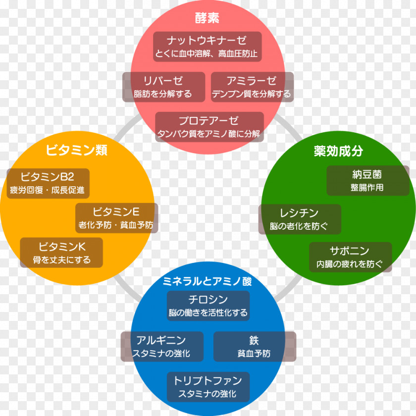 Efficacy Nattō Food Nutrition Nutrient Pie Chart PNG