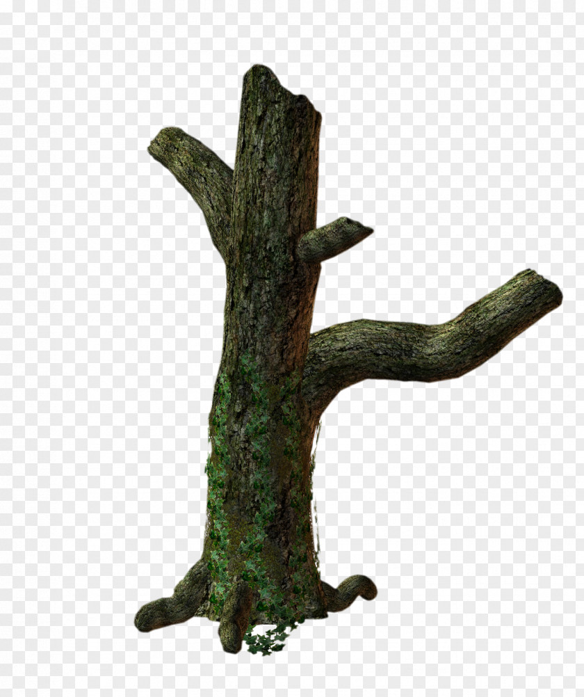 Root 3D Trees Trunk Clip Art PNG