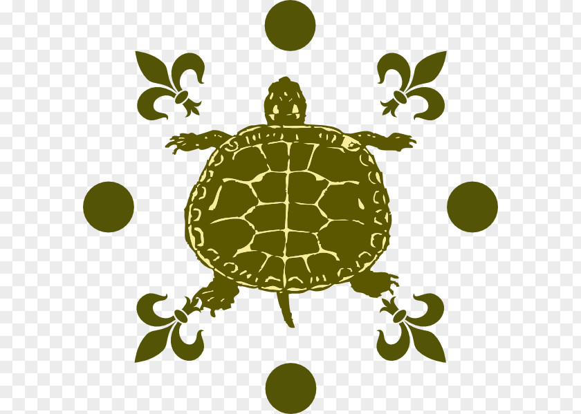 Turtle Tortoise Clip Art PNG