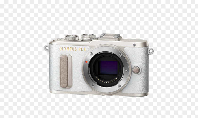 Camera Olympus Pen E-PL 8 EZ Double Zoom Kit [Brown][International Version, No Warranty] Mirrorless Interchangeable-lens E-PL8 [White] PNG