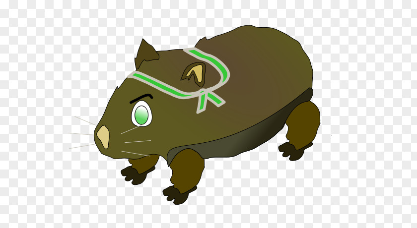 Cartoonwombat Wombat Clip Art PNG
