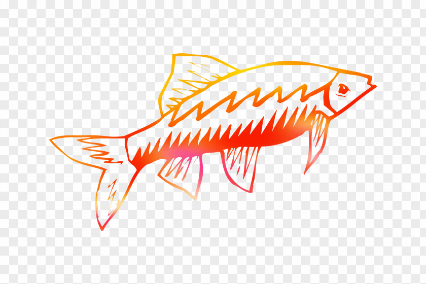 Clip Art Logo Line Fish Orange S.A. PNG