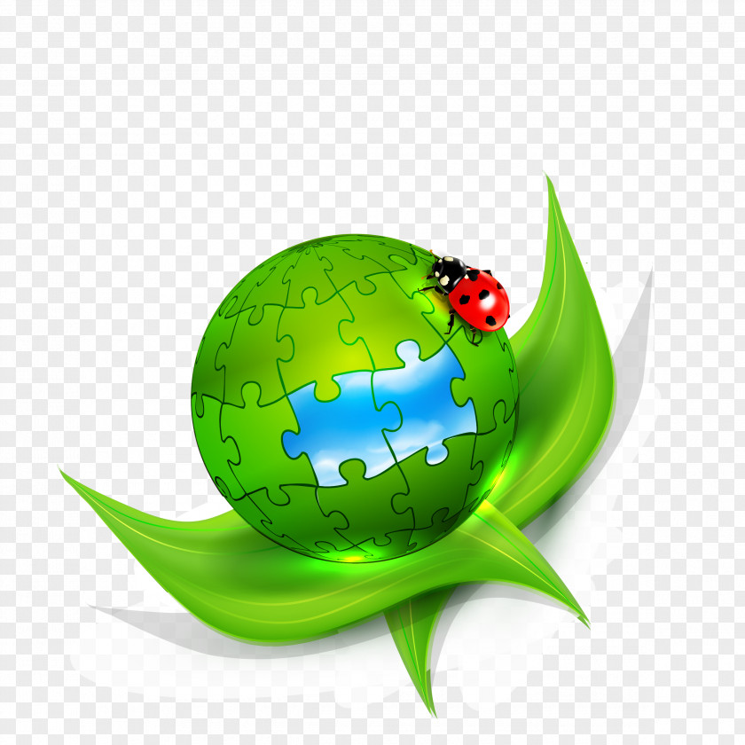 Creative Ladybug And Earth Green Background Vector Material Chroma Key Illustration PNG