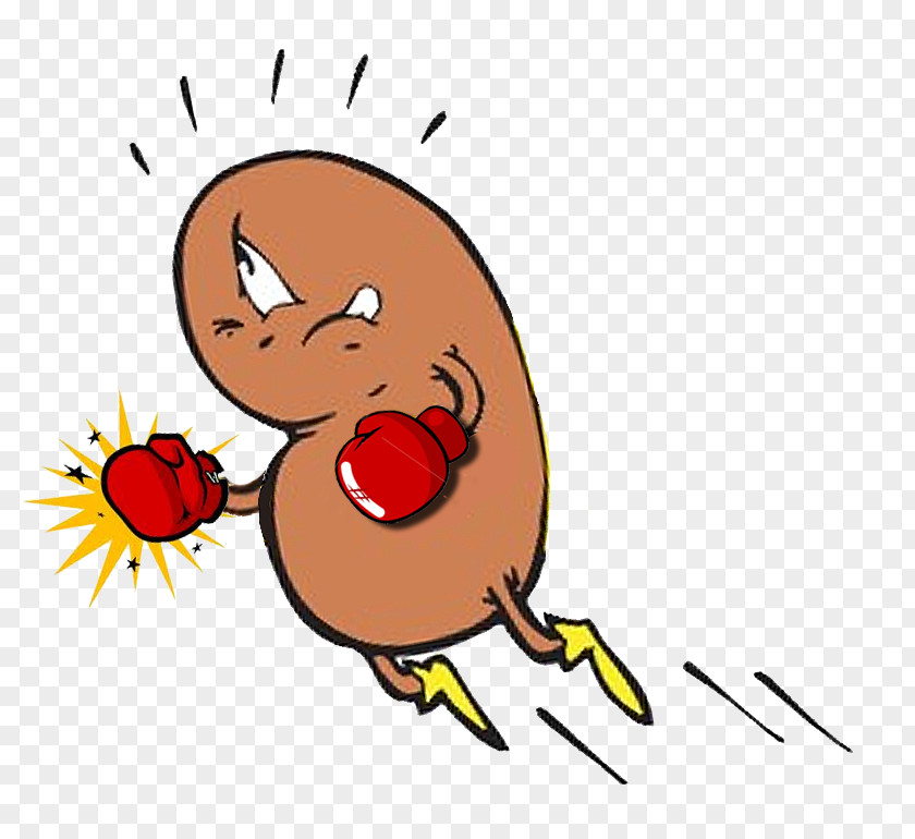 Groundhog Pictures Cartoon Chronic Kidney Disease Polycystic Failure PNG