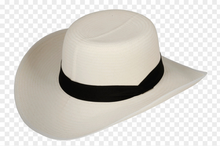 Hat Panama Sombrero Antioqueño Vueltiao Headgear PNG