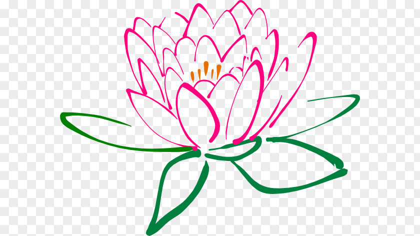 Lotus Blossom Cliparts Nelumbo Nucifera Egyptian Flower Clip Art PNG