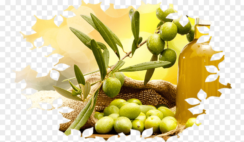 Olive Oil Cooking Oils PNG
