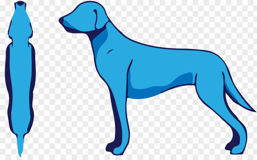 Puppy Dog Breed Retriever Sporting Group PNG