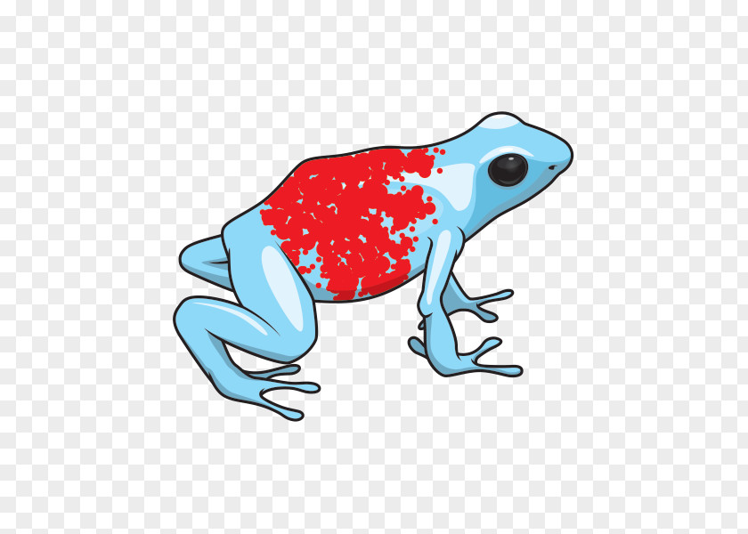 Shrub Frog Hyla Cartoon PNG