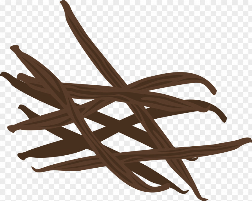 Vanilla Leaf Clip Art PNG