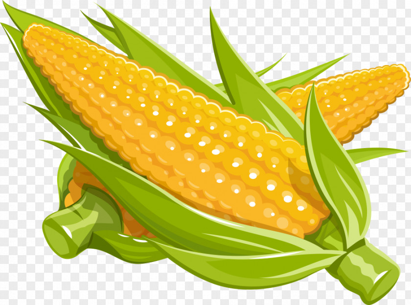 Vector Cartoon Corn Maize Royalty-free Illustration PNG