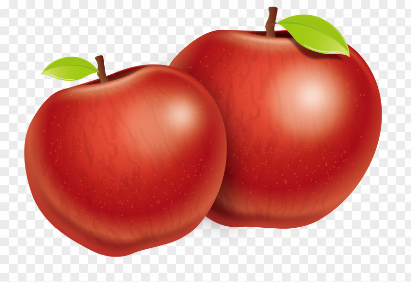 Vector Two Apples Plum Tomato Apple Fuji PNG