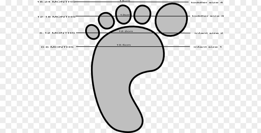 Booties Cliparts Shoe Size Infant Clip Art PNG