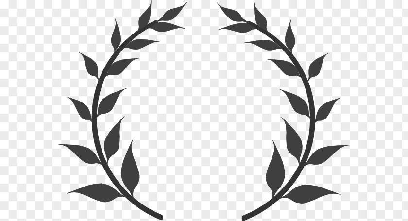 Border Laurel Olive Branch Wreath Clip Art PNG