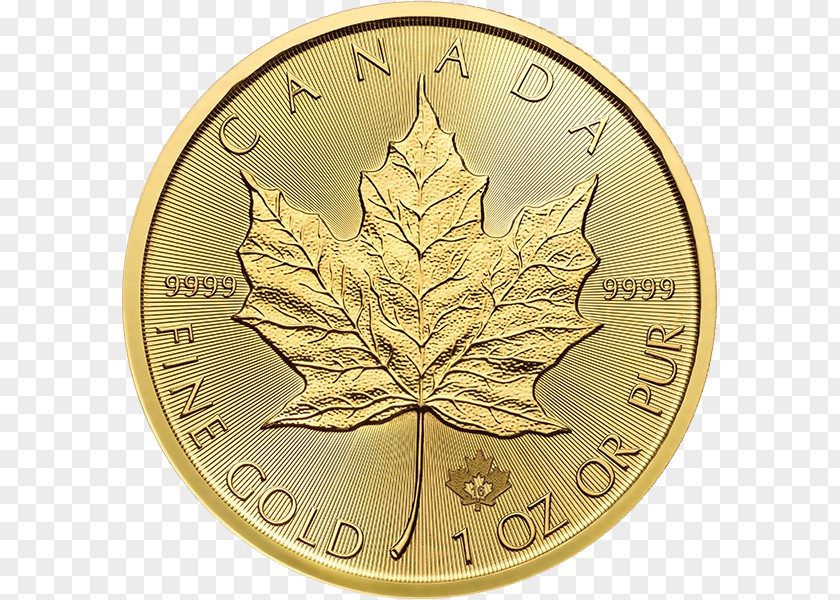 Gold Leaf Canada Canadian Maple Ounce Royal Mint PNG