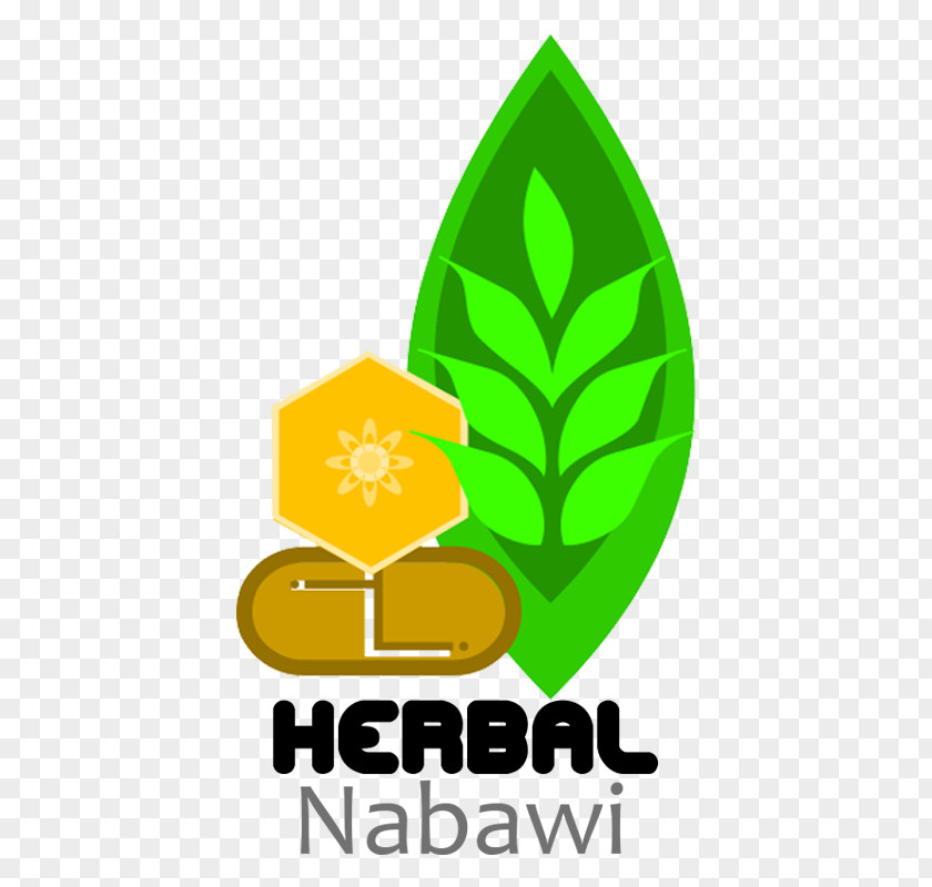 Leaf Logo Brand Product Design PNG