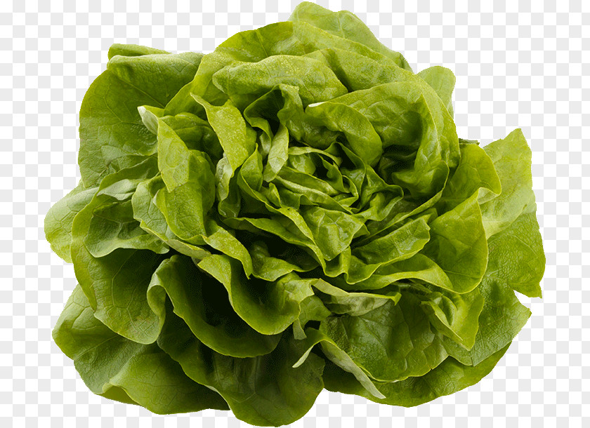 Spinach Flower Leaf Vegetable Food Lettuce Iceburg PNG