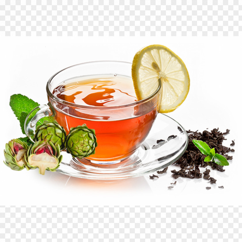 Tea Da Lat Flowering Artichoke Green PNG