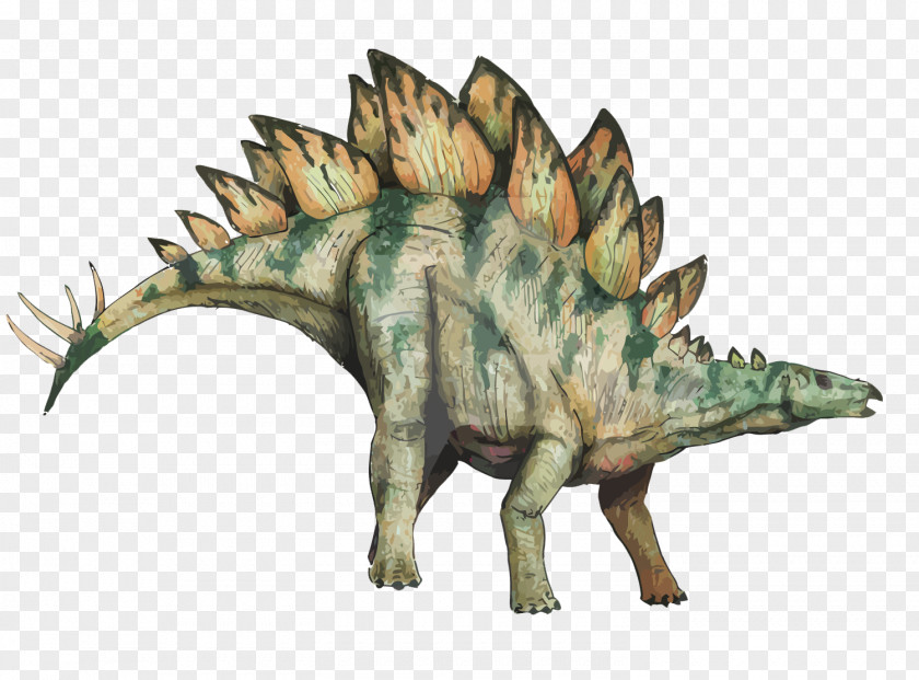 Vector Sword Dragon Stegosaurus Stegosauria Dinosaur PNG
