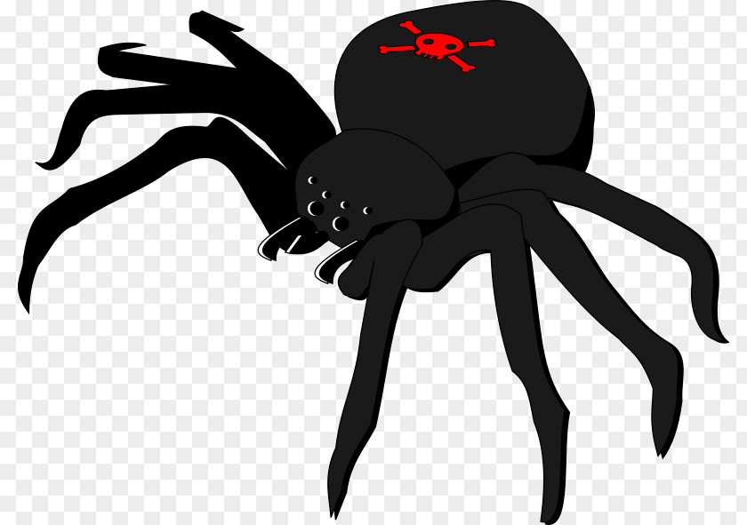 Crossbones Cliparts Widow Spiders Skull And Clip Art PNG