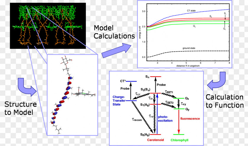 Energy Charge-transfer Complex Light-harvesting Chlorophyll Carotenoid Quantum PNG