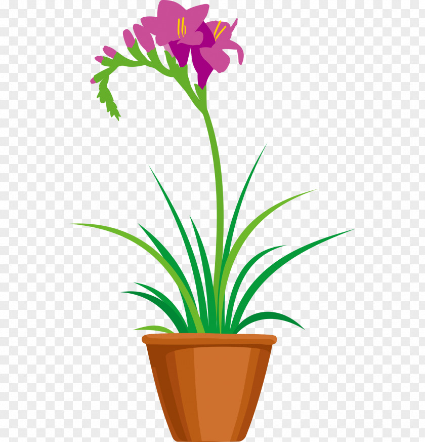 Floral Design Flowerpot Vector Graphics Garden Plants Image PNG