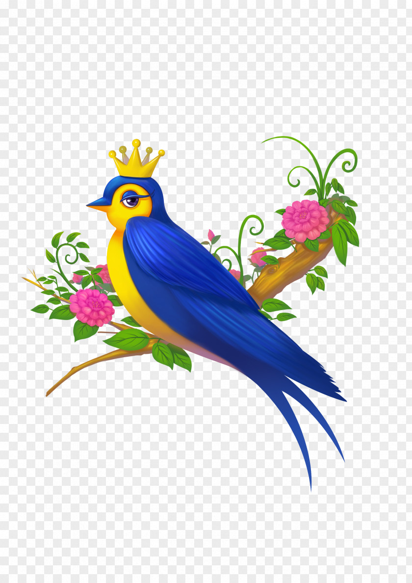 People At Work Macaw Parakeet Graphics Illustration Pet PNG