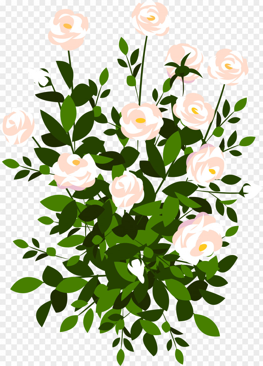 Rose PNG