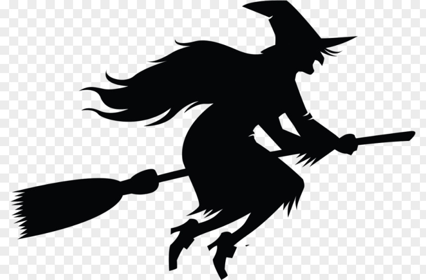 Witch's Broom Witchcraft PNG